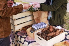 2024-10-21 Zielony Ślad WIZ - sadzenie drzew na Kampusie Wydziału Inżynierii Zarządzania - Moja Zielona Politechnika foto: Piotr Iwanicki HR Team