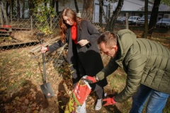 2024-10-21 Zielony Ślad WIZ - sadzenie drzew na Kampusie Wydziału Inżynierii Zarządzania - Moja Zielona Politechnika foto: Piotr Iwanicki HR Team