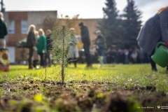 2024-10-21-Zielony-Slad-WIZ-w-ramach-akcji-Moja-Zielona-Politechnika-fot-Iryna-Mikhno-PB-07