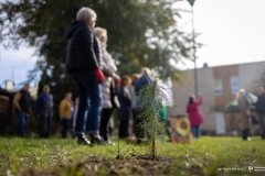 2024-10-21-Zielony-Slad-WIZ-w-ramach-akcji-Moja-Zielona-Politechnika-fot-Iryna-Mikhno-PB-08