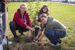 2024-10-21-Zielony-Slad-WIZ-w-ramach-akcji-Moja-Zielona-Politechnika-fot-Iryna-Mikhno-PB-14