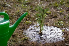2024-10-21-Zielony-Slad-WIZ-w-ramach-akcji-Moja-Zielona-Politechnika-fot-Iryna-Mikhno-PB-47