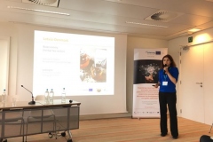 GoSmart-BSR-na-EURegionsWeek-1