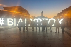 Konferencja podsumowująca projekt „E-mentoring: a new qualification for continuing educationand training”