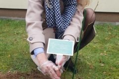 Nowe drzewa na kampusie WIZ. Akcja Parcela dla Zielonego Przyjaciela. Fot. TT