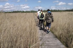 Warsztaty terenowe studentow turystyki i rekreacji w Biebrzanskim Parku Narodowym