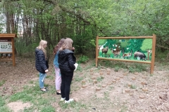 Warsztaty terenowe studentow turystyki i rekreacji w Biebrzanskim Parku Narodowym